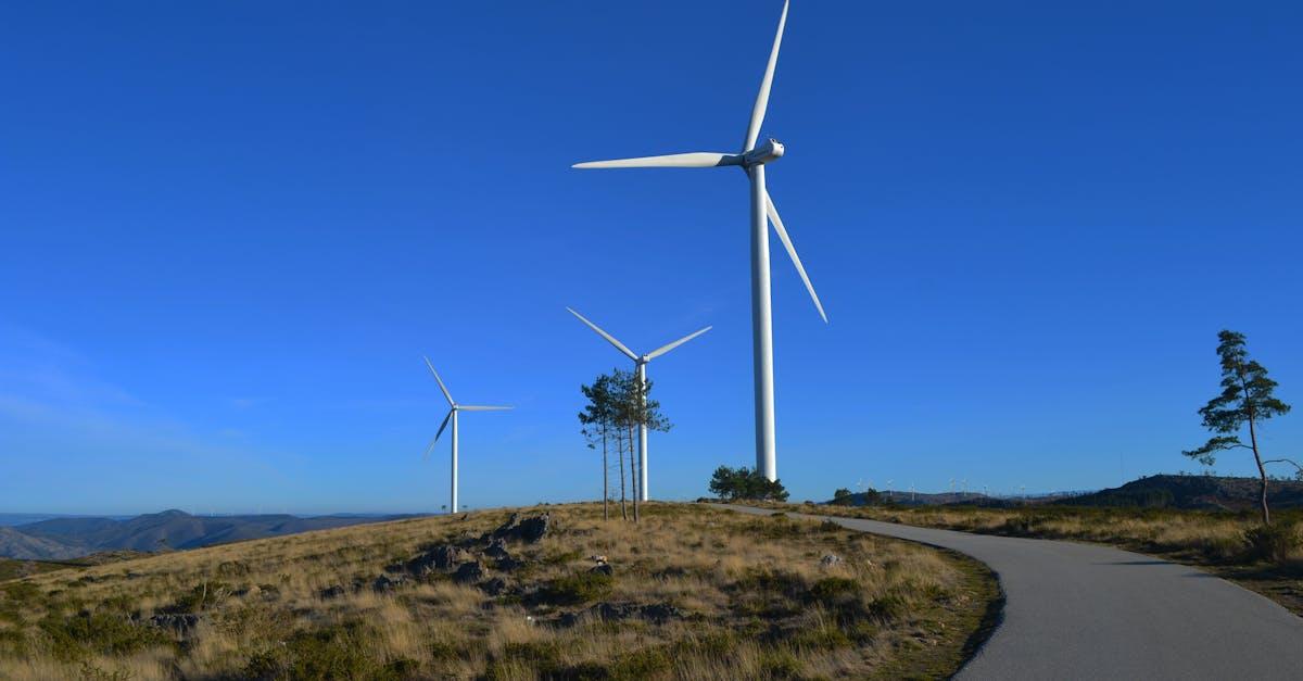 Czy zielona energia jest opłacalna? Analiza kosztów, zwrotu z inwestycji i korzyści dla domu i firmy